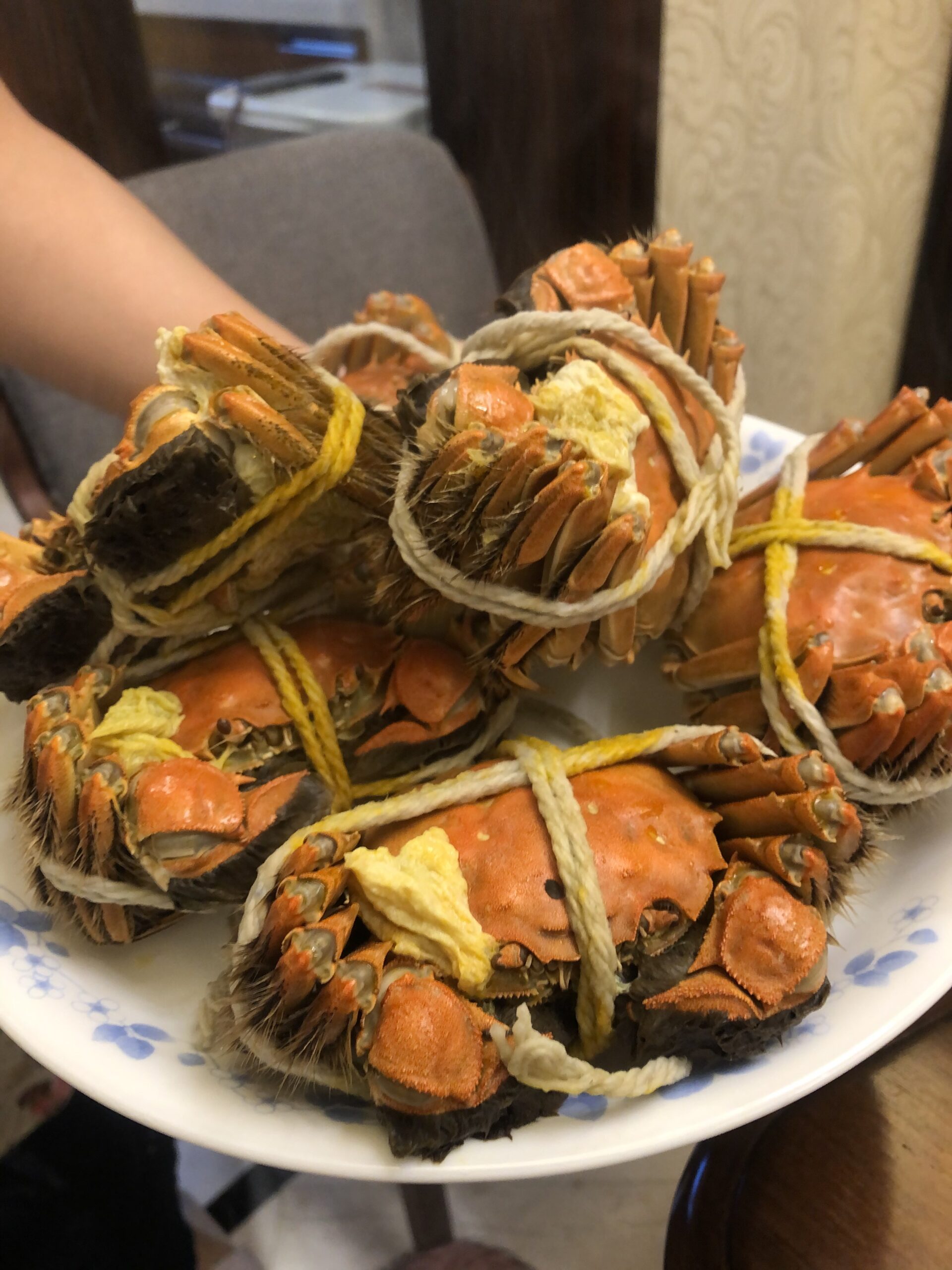 上海現地で食べた大闸蟹（上海蟹）。縄で縛られた蒸し蟹、黄色い蟹味噌が見える